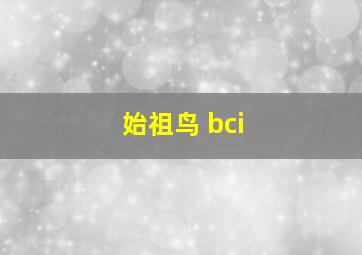 始祖鸟 bci